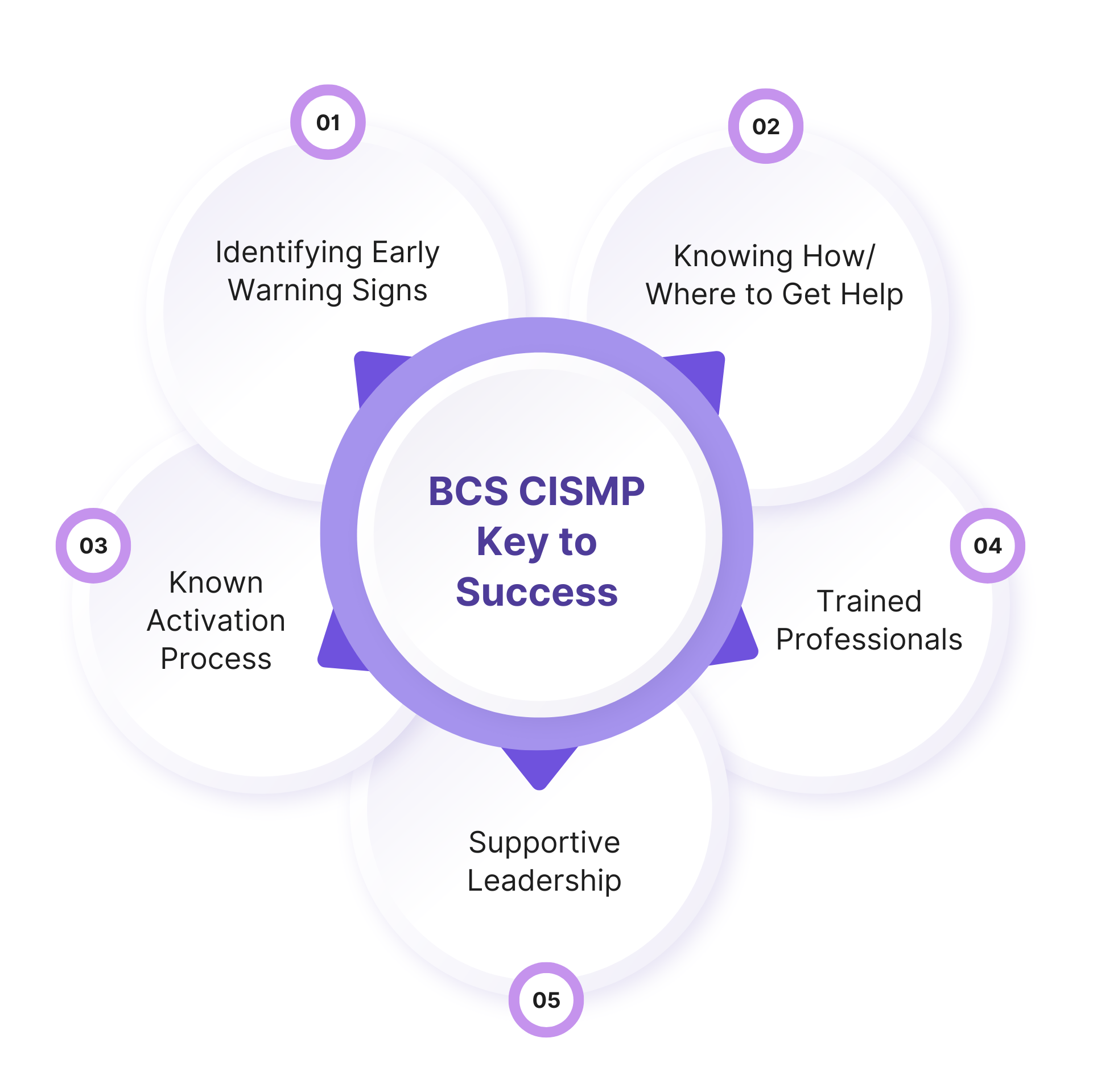 BCS CISMP Key to Success (1)
